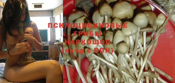 каннабис Гусев