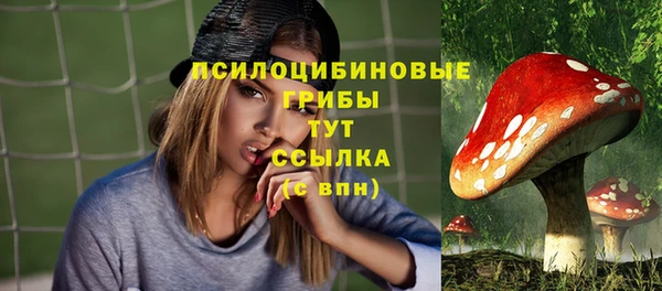 альфа пвп Надым
