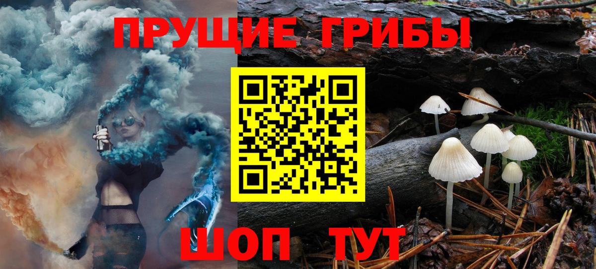 Галлюциногенные грибы Magic Shrooms Усть-Лабинск