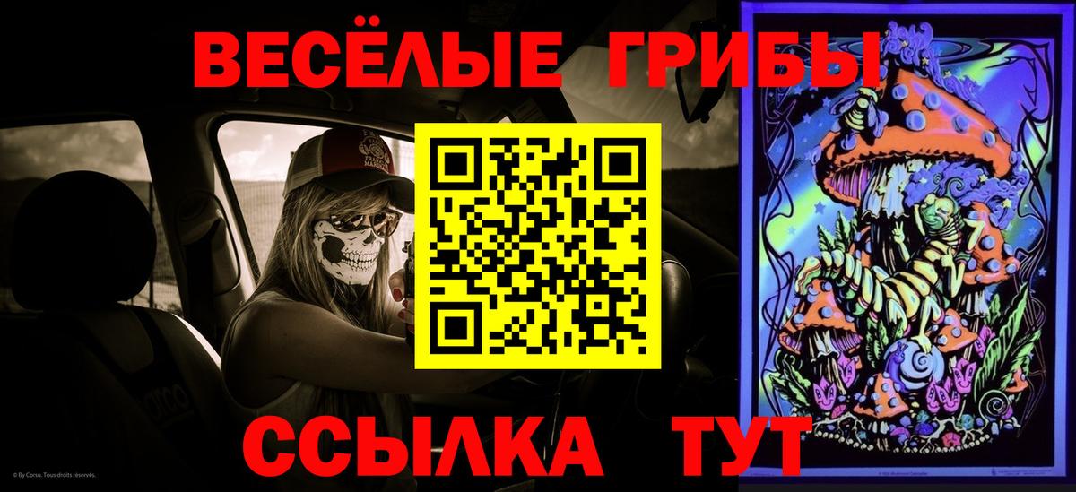 Усть-Лабинск  Галлюциногенные грибы мицелий  Вход с VPN  Галлюциногенные грибы мухоморы 